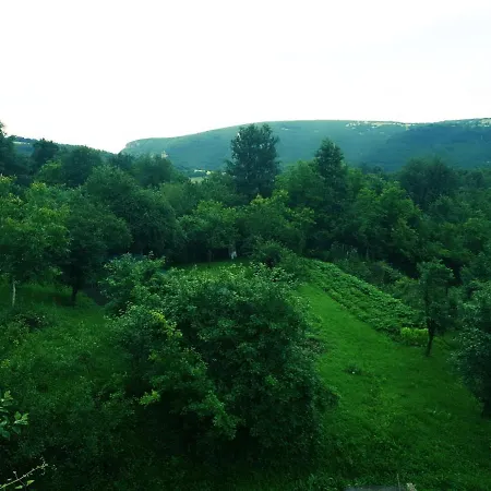 Къща За Гости 
